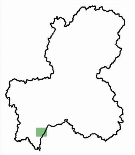 分布情報図を拡大表示します