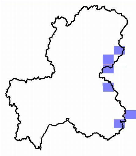 分布情報図を拡大表示します