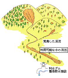 荒廃森林イメージ