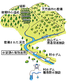 整備された森林イメージ