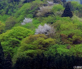 ​揖斐川町の画像