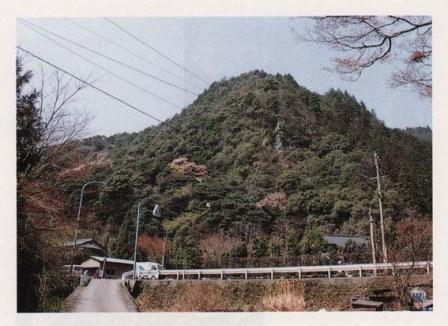 鶴形山暖地性植物