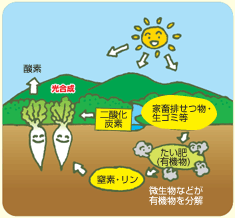 家畜排せつ物や生ごみがたい肥に変っていく様子のイラスト