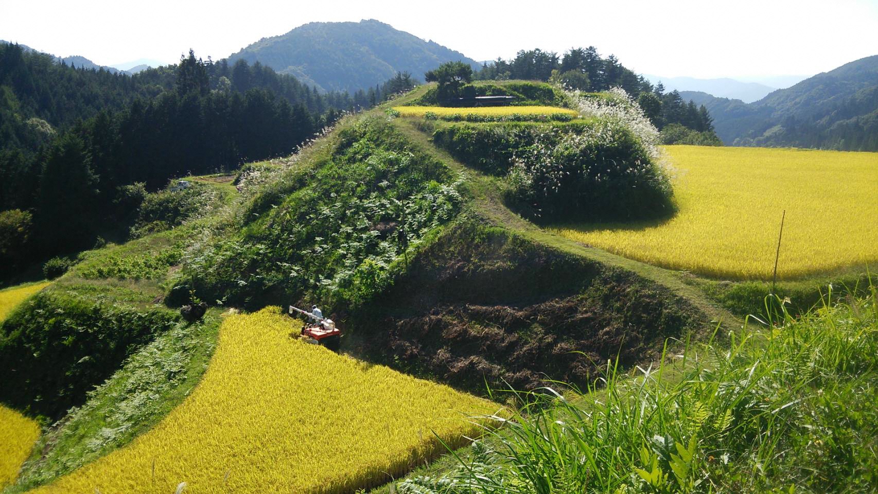 滝町の画像1