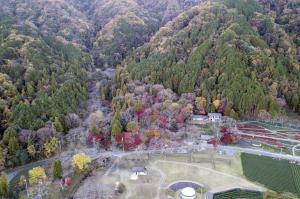 霞間ヶ渓(サクラ)