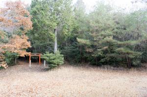 久々利のサクライソウ自生地