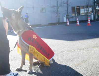 警察犬2